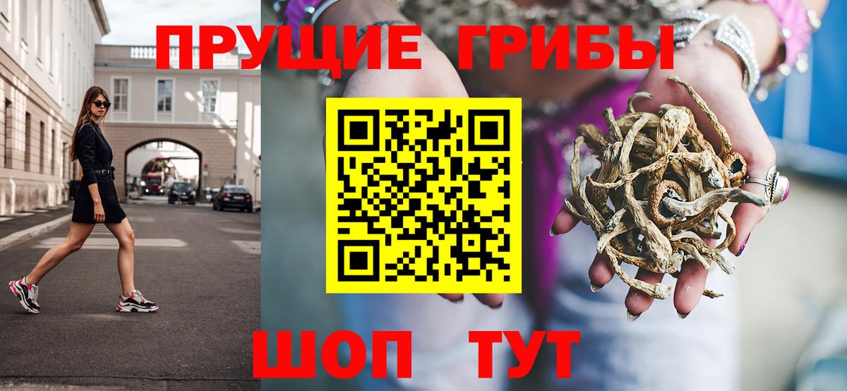 Псилоцибиновые грибы Psilocybine cubensis Богородицк